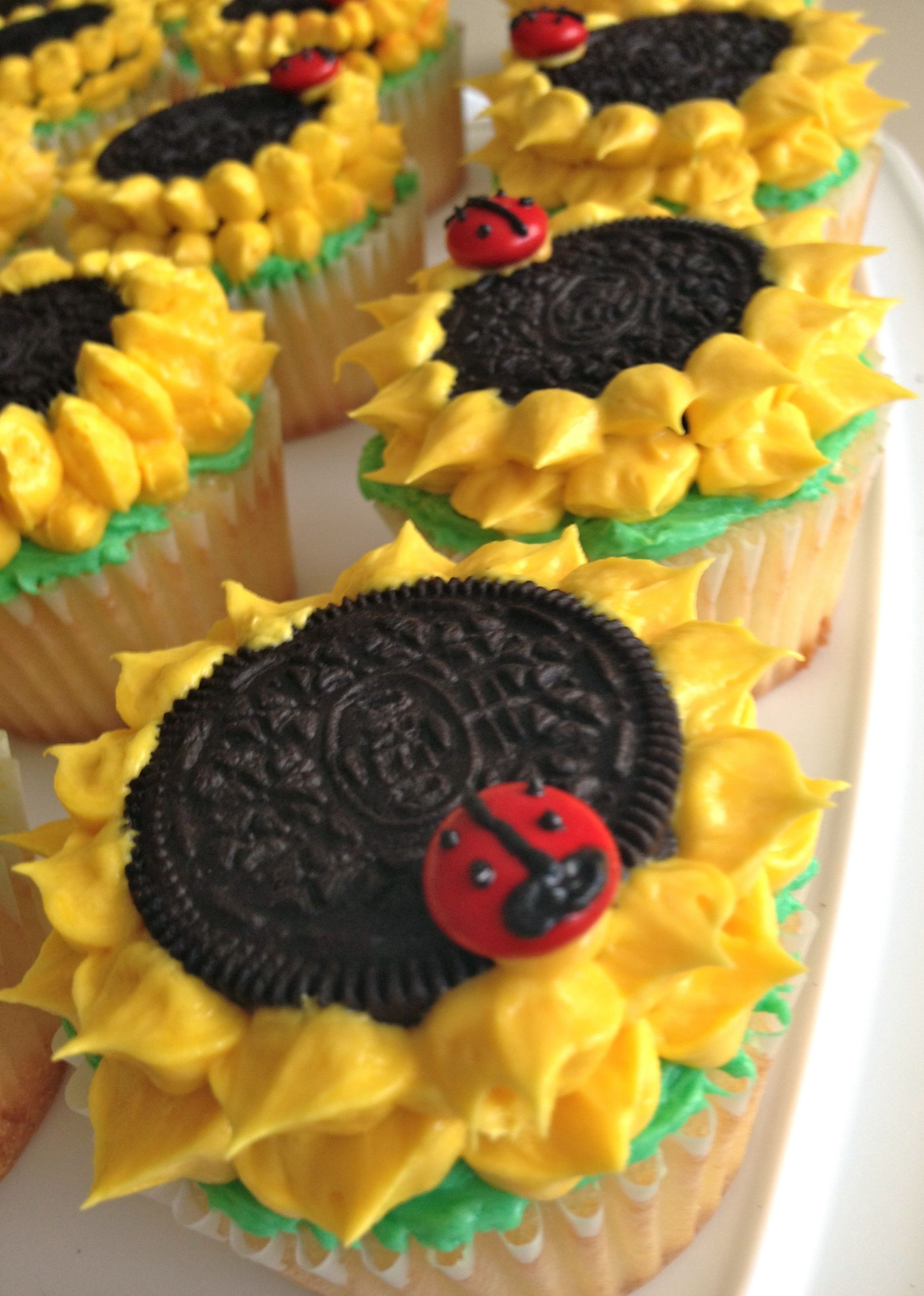 Summer Themed Cupcakes
 Spring & Summer