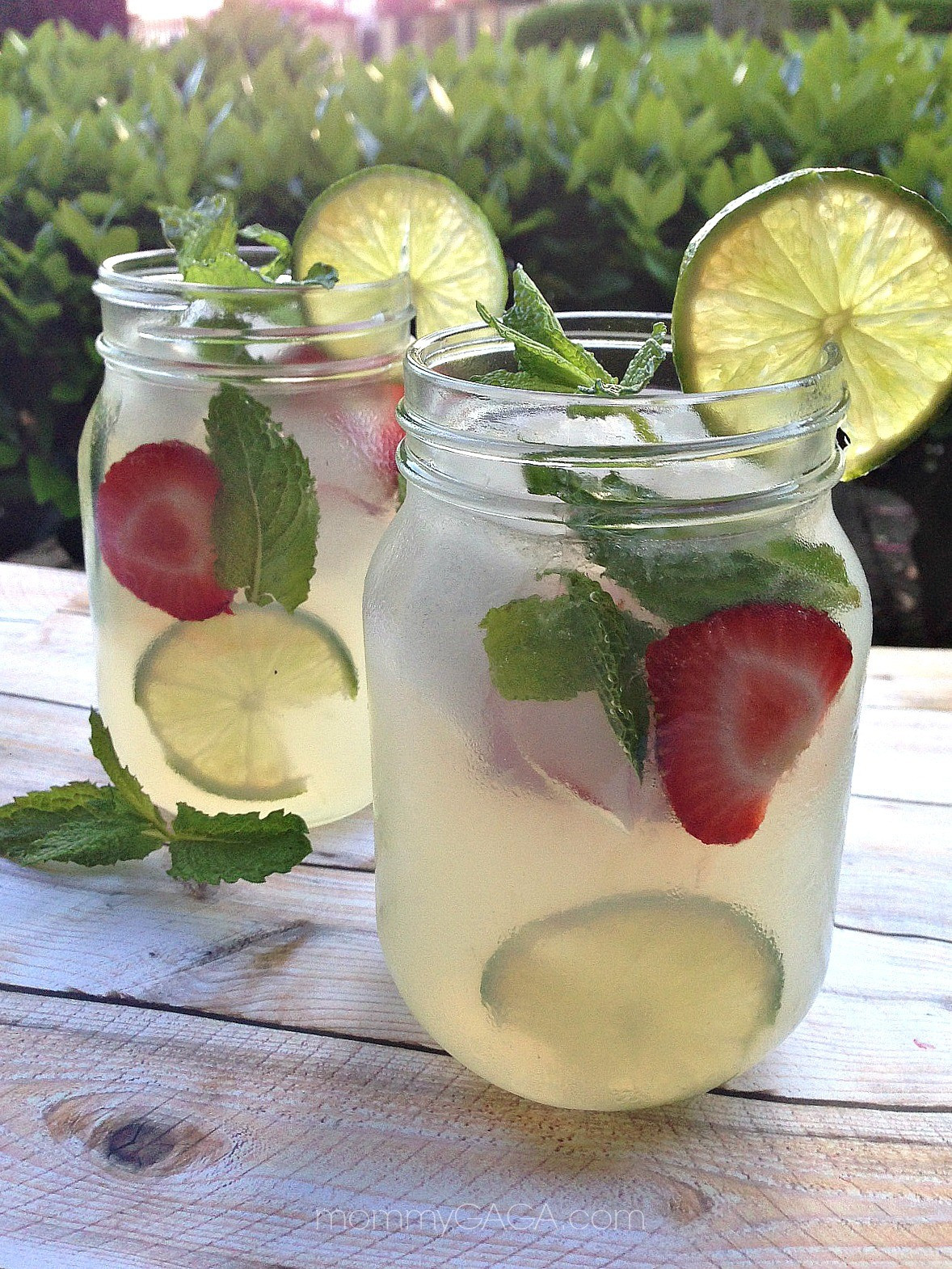 Summertime Vodka Drinks
 Refreshing Summer Drinks Vodka Mint Lemonade Cocktail