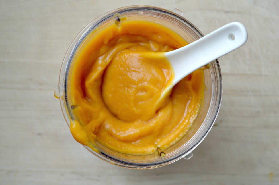 Sweet Potato Baby Food
 17 Baby Food Recipes