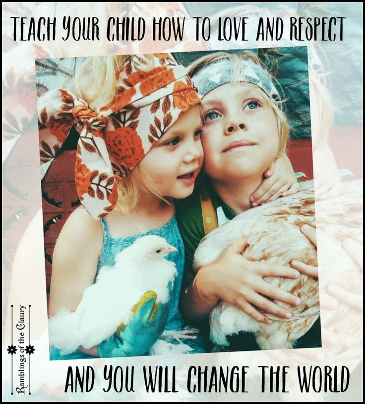 Teach Your Child Respect Quotes
 246 best Ramblings Rainbows Be Kind images on Pinterest