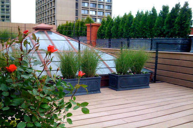 Terrace Landscape Fence
 NYC Roof Garden Terrace Deck posite Fence Privacy