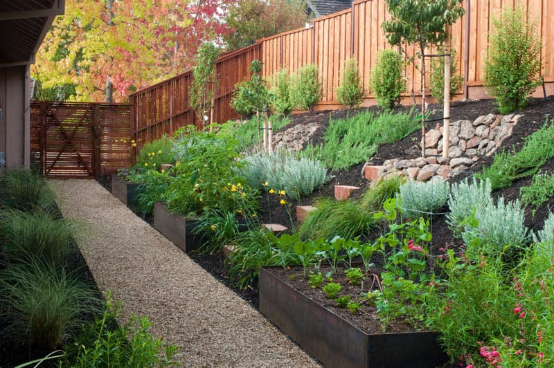 Terrace Landscape Ideas
 How To Turn A Steep Backyard Into A Terraced Garden