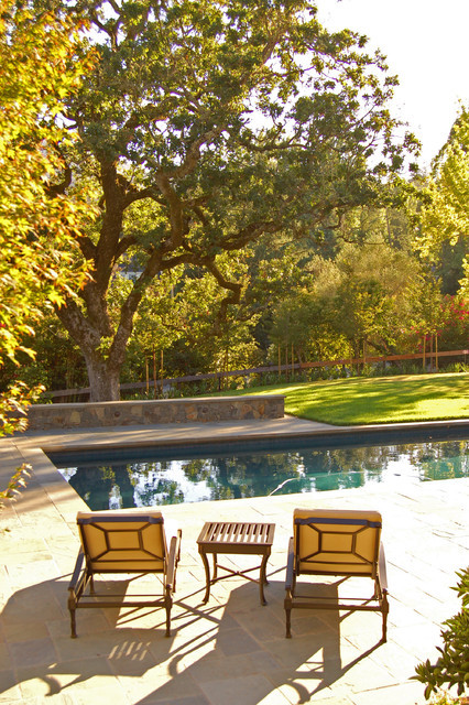 Terrace Landscape Pool
 Pool Terrace Garden