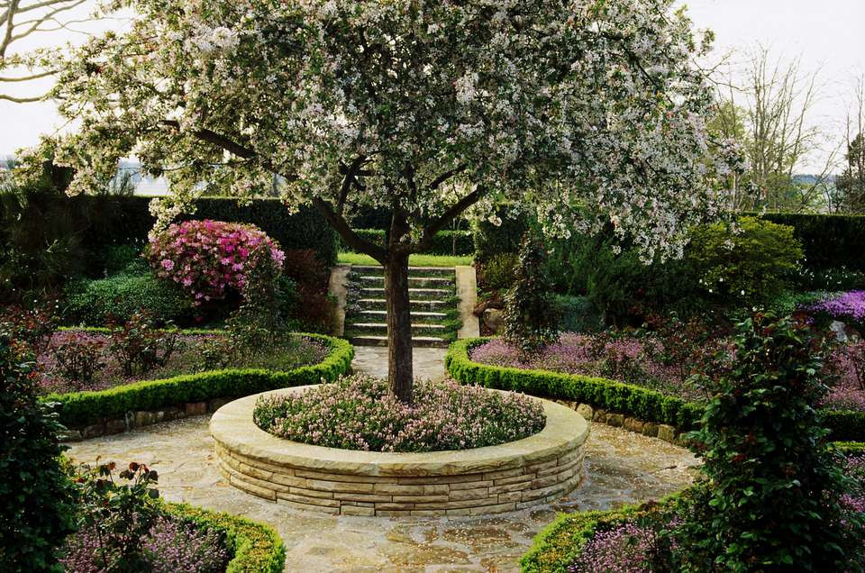 Terrace Landscape With Trees
 13 Best Small Trees for Patios