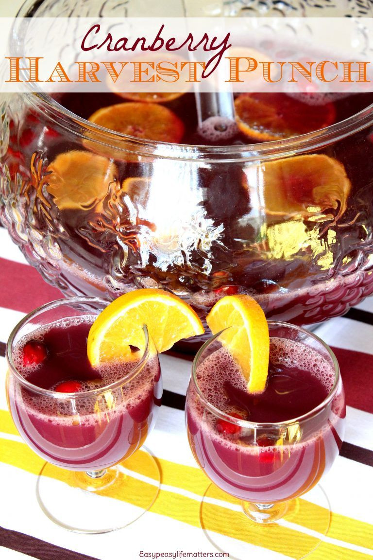 Thanksgiving Drinks Non Alcoholic
 Cranberry Harvest Punch