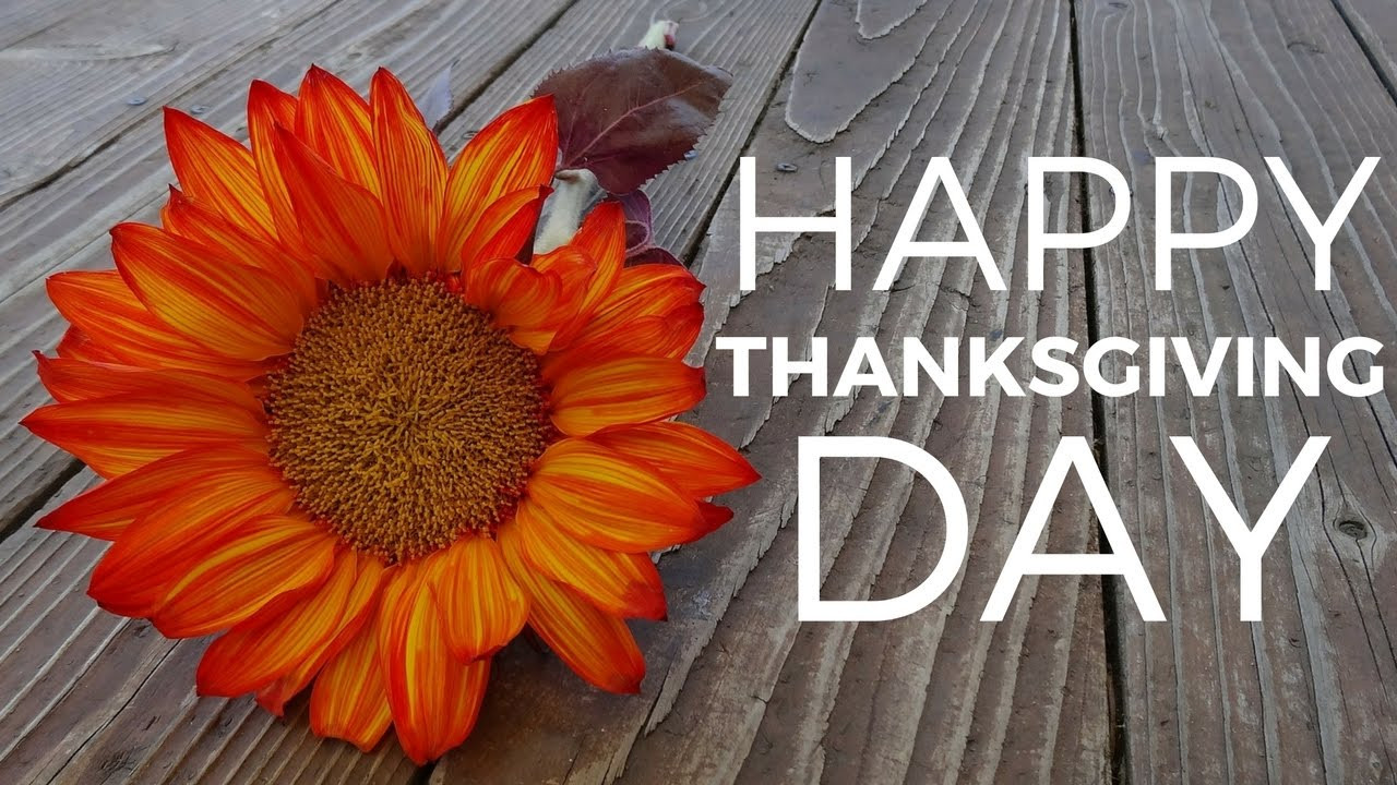 Thanksgiving Quotes Beautiful
 Best Wishes For Thanksgiving Day
