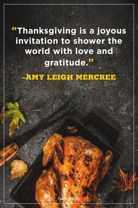 Thanksgiving Quotes Beautiful
 70 Best Thanksgiving Quotes Happy Thanksgiving Toast Ideas