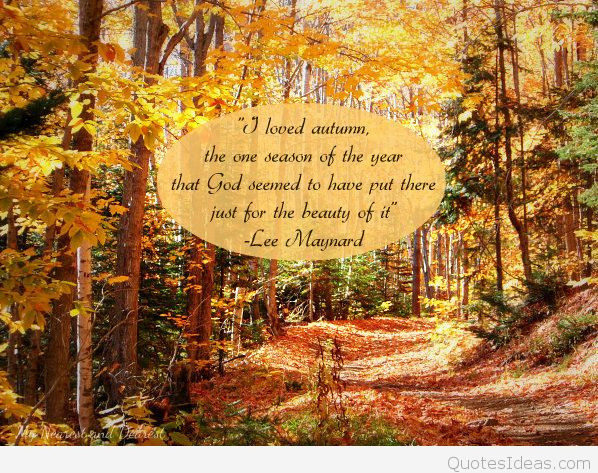 Thanksgiving Quotes Beautiful
 best thanksgiving quotes