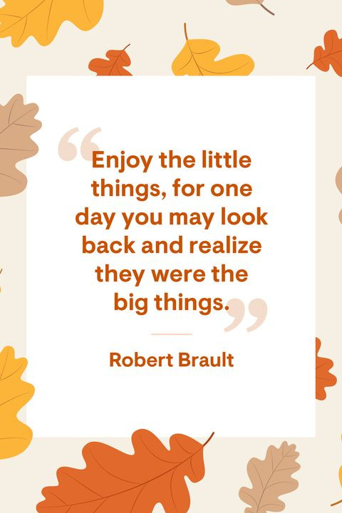 Thanksgiving Quotes Beautiful
 33 Best Happy Thanksgiving Quotes Sayings About Gratitude
