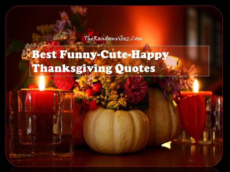Thanksgiving Quotes Cute
 Best Funny Cute Happy Thanksgiving Quotes