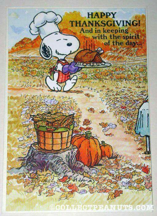 Thanksgiving Quotes Peanuts
 47 best Snoopy Peanuts Thanksgiving images on Pinterest