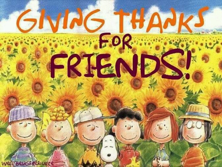 Thanksgiving Quotes Peanuts
 127 best Peanuts Thanksgiving images on Pinterest