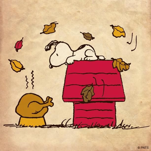 Thanksgiving Quotes Peanuts
 49 best images about Peanuts Thanksgiving on Pinterest