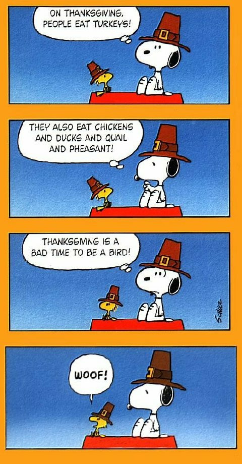 Thanksgiving Quotes Peanuts
 A Humorous Thanksgiving From Flower Shop Network