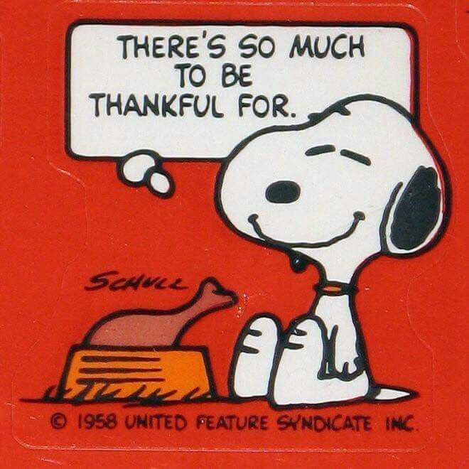 Thanksgiving Quotes Peanuts
 17 Best images about Thanksgiving day on Pinterest