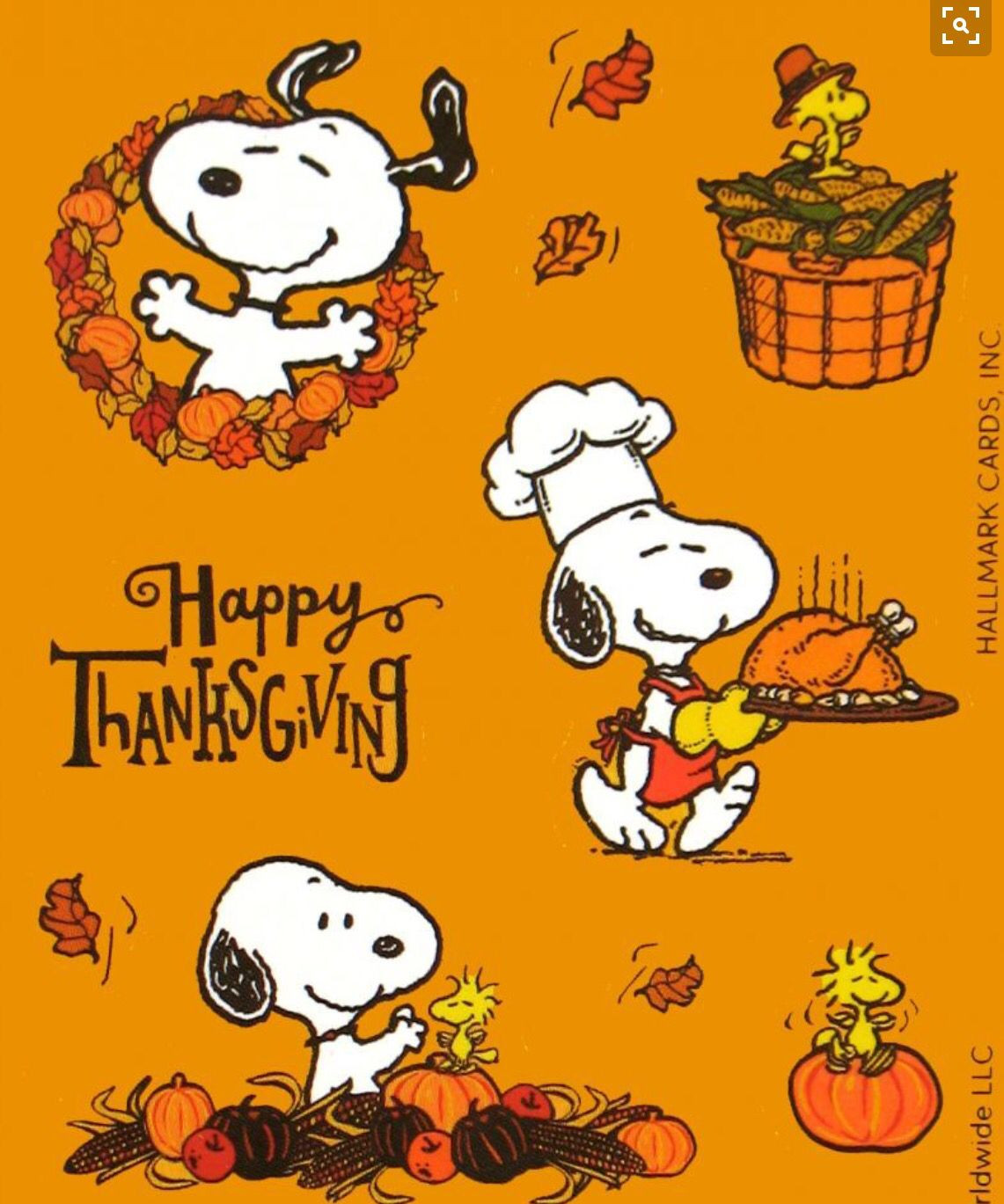 Thanksgiving Quotes Peanuts
 Top 30 Thanksgiving Quotes Snoopy Home Family Style