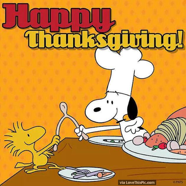 Thanksgiving Quotes Peanuts
 Snoopy And Woodstock Happy Thanksgiving Quote