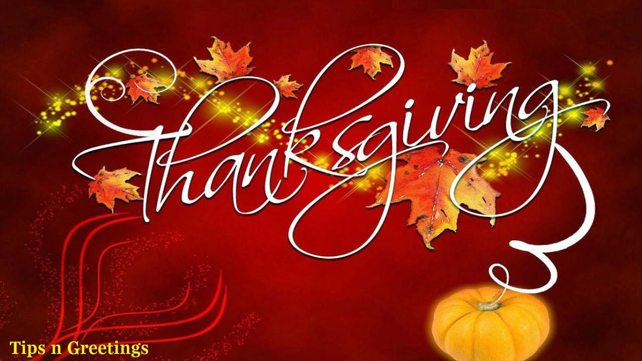 Thanksgiving Quotes Wallpaper
 Happy Thanksgiving Quotes Thanksgiving Wishes Whatsapp