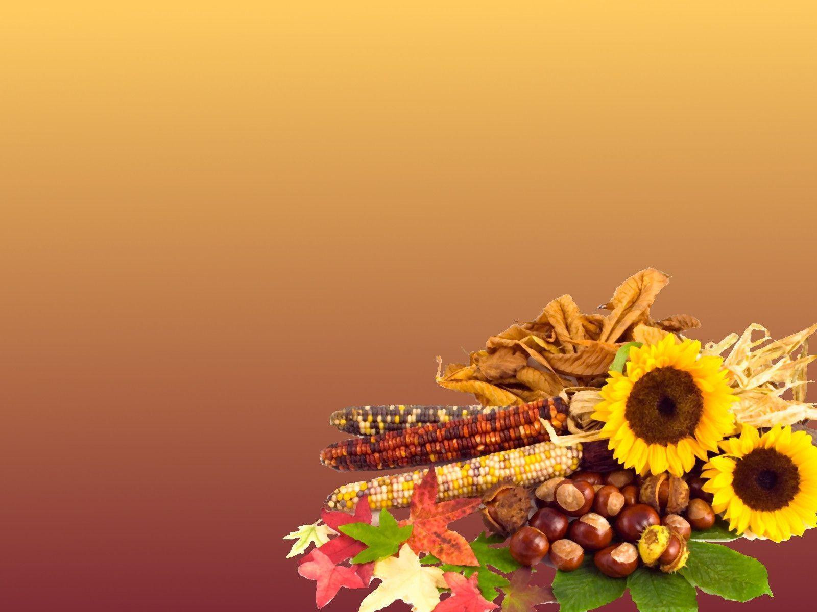 Thanksgiving Quotes Wallpaper
 Free Thanksgiving Screensavers Wallpapers Wallpaper Cave