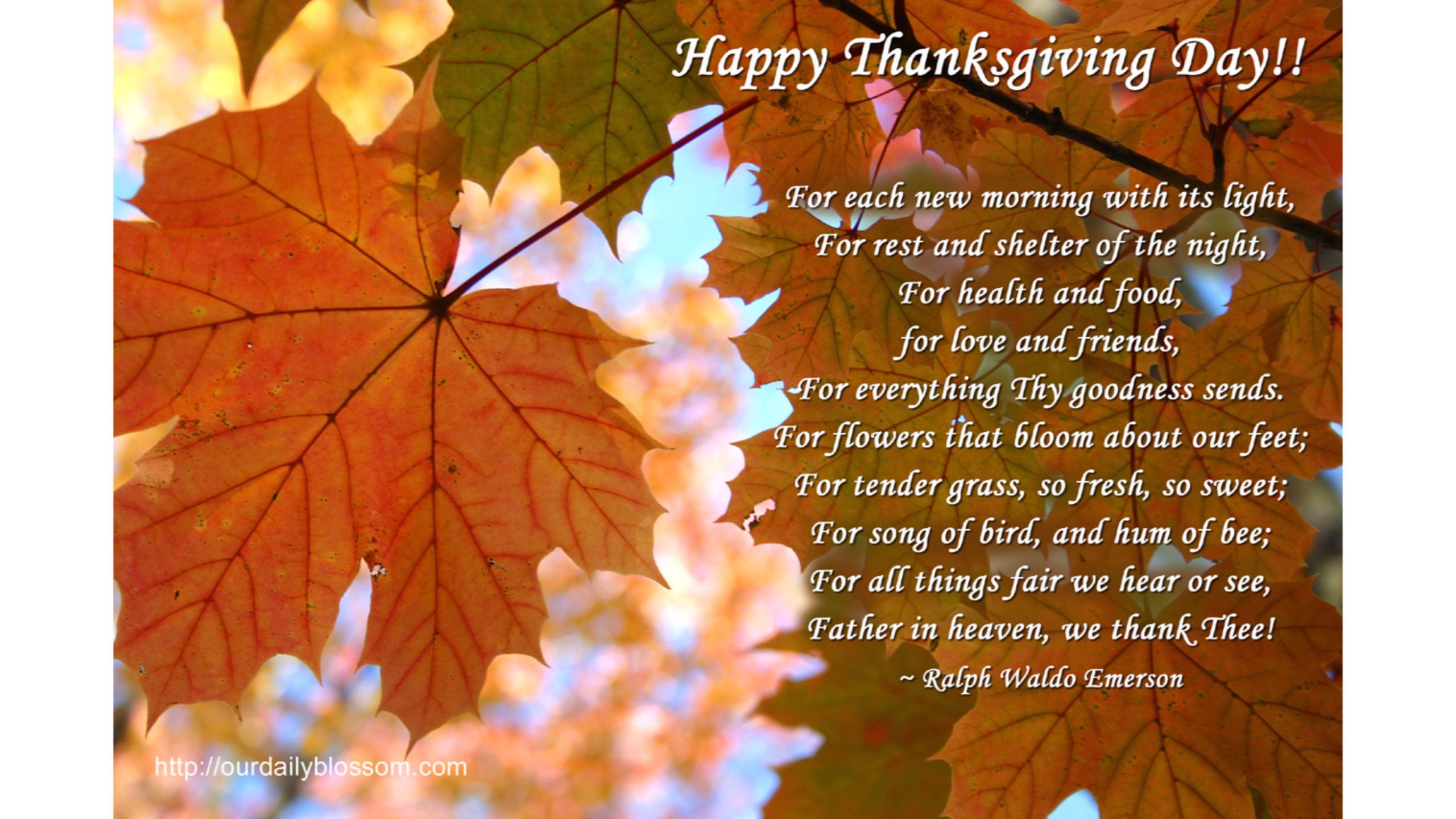 Thanksgiving Quotes Wallpaper
 quotes wallpapers photos and desktop backgrounds up to 8K
