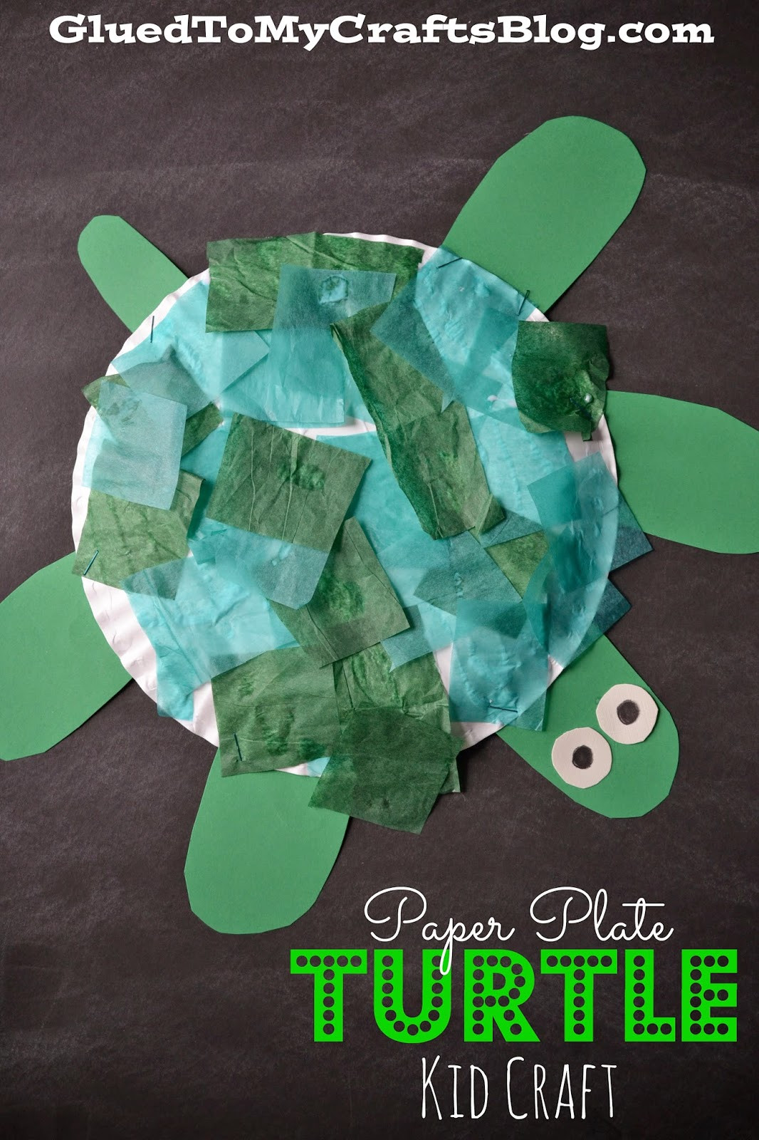 Toddler Art Craft
 Paper Plate Turtle Kid Craft