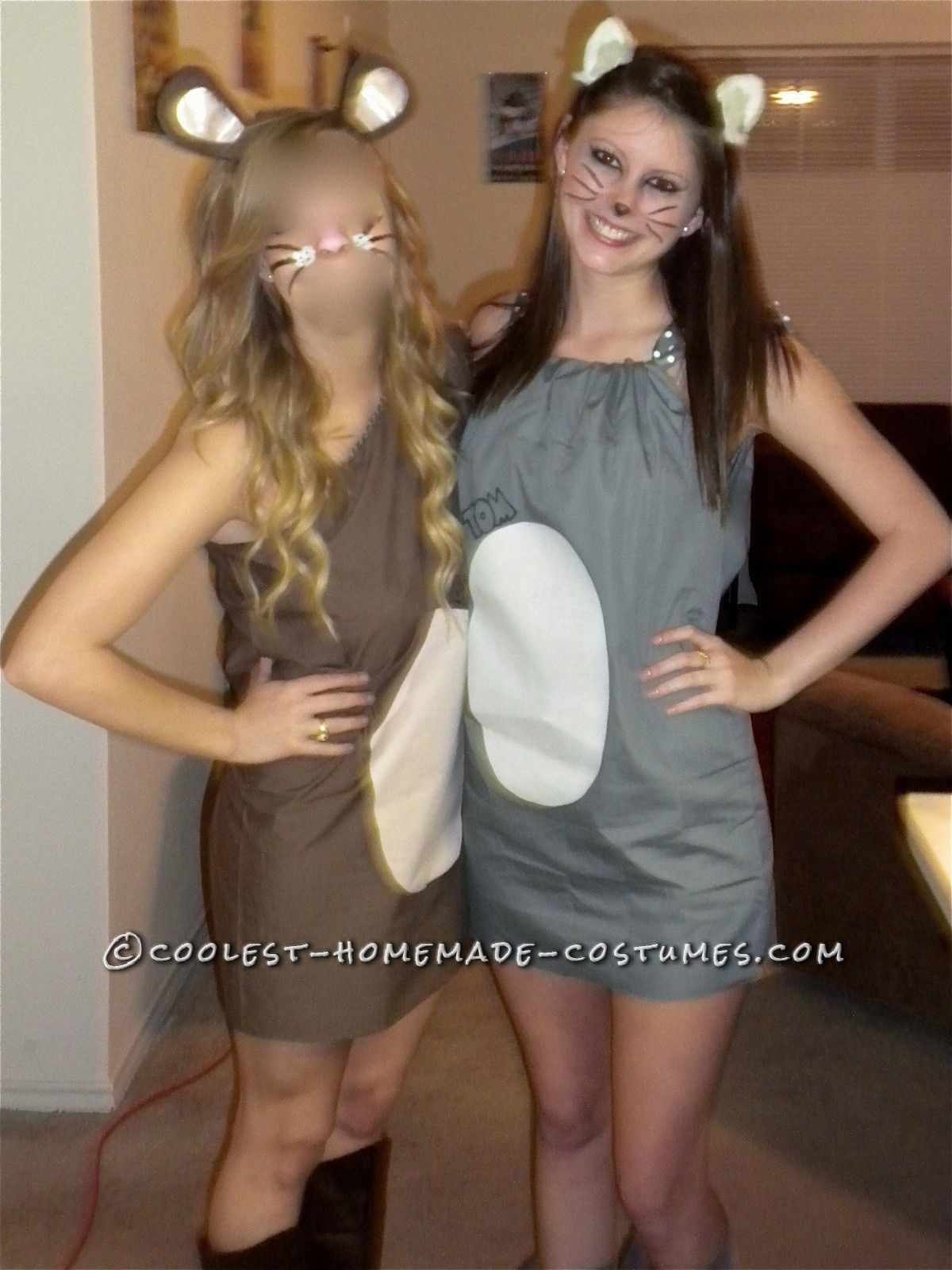 Tom And Jerry Costumes DIY
 Cute Homemade Tom and Jerry Couple Halloween Costume