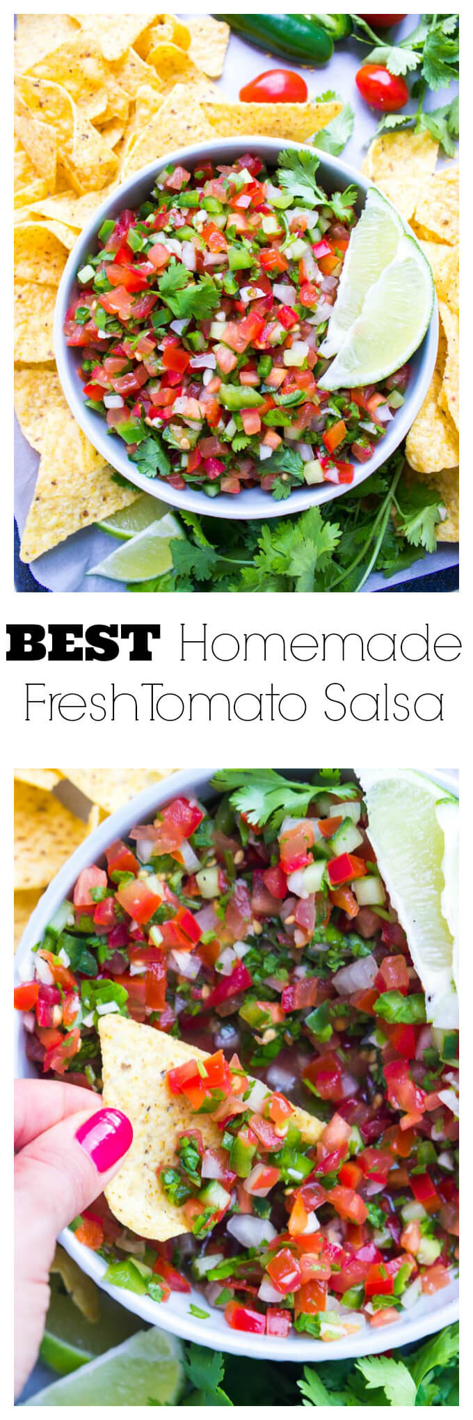 Tomato Salsa Recipe
 The Best Homemade Fresh Tomato Salsa