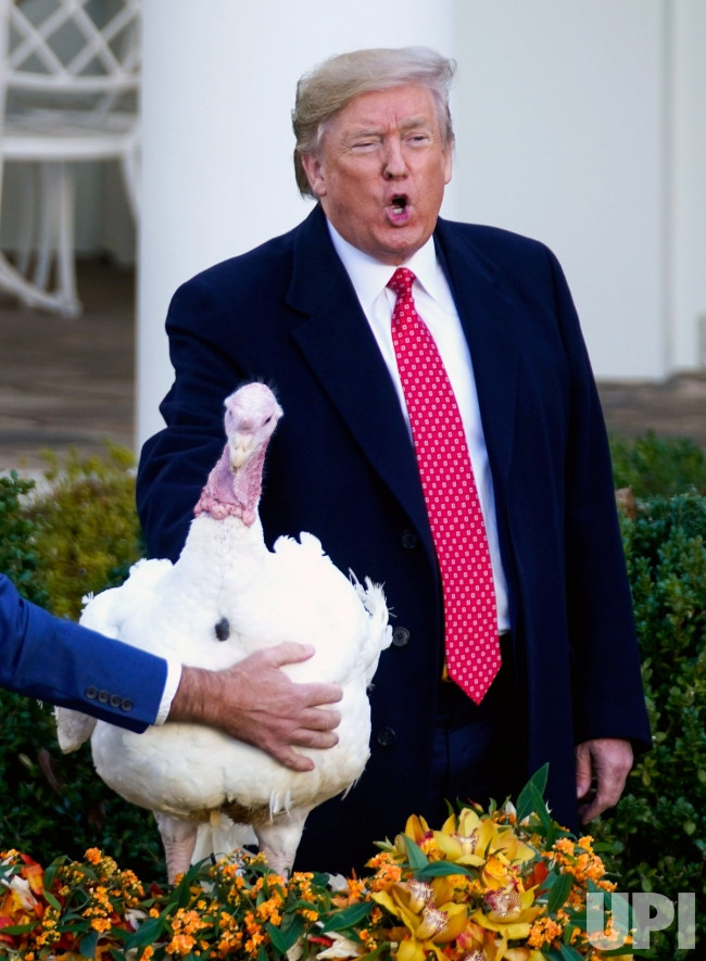 Trump Thanksgiving Turkey
 President Trump Pardons the National Thanksgiving Turkey
