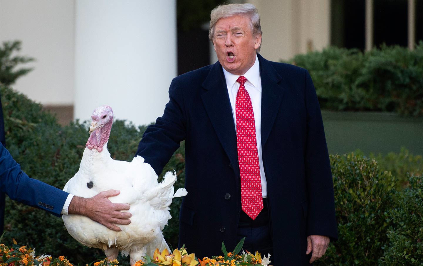 Trump Thanksgiving Turkey
 FDR Got Everything that Trump Does Not About Thanksgiving