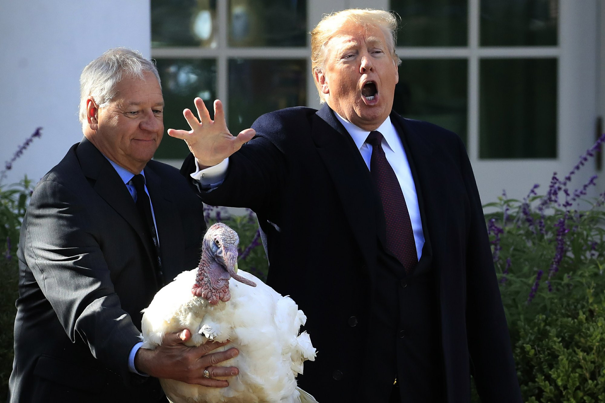Trump Thanksgiving Turkey
 Trump grants poultry pardons to turkeys Peas and Carrots