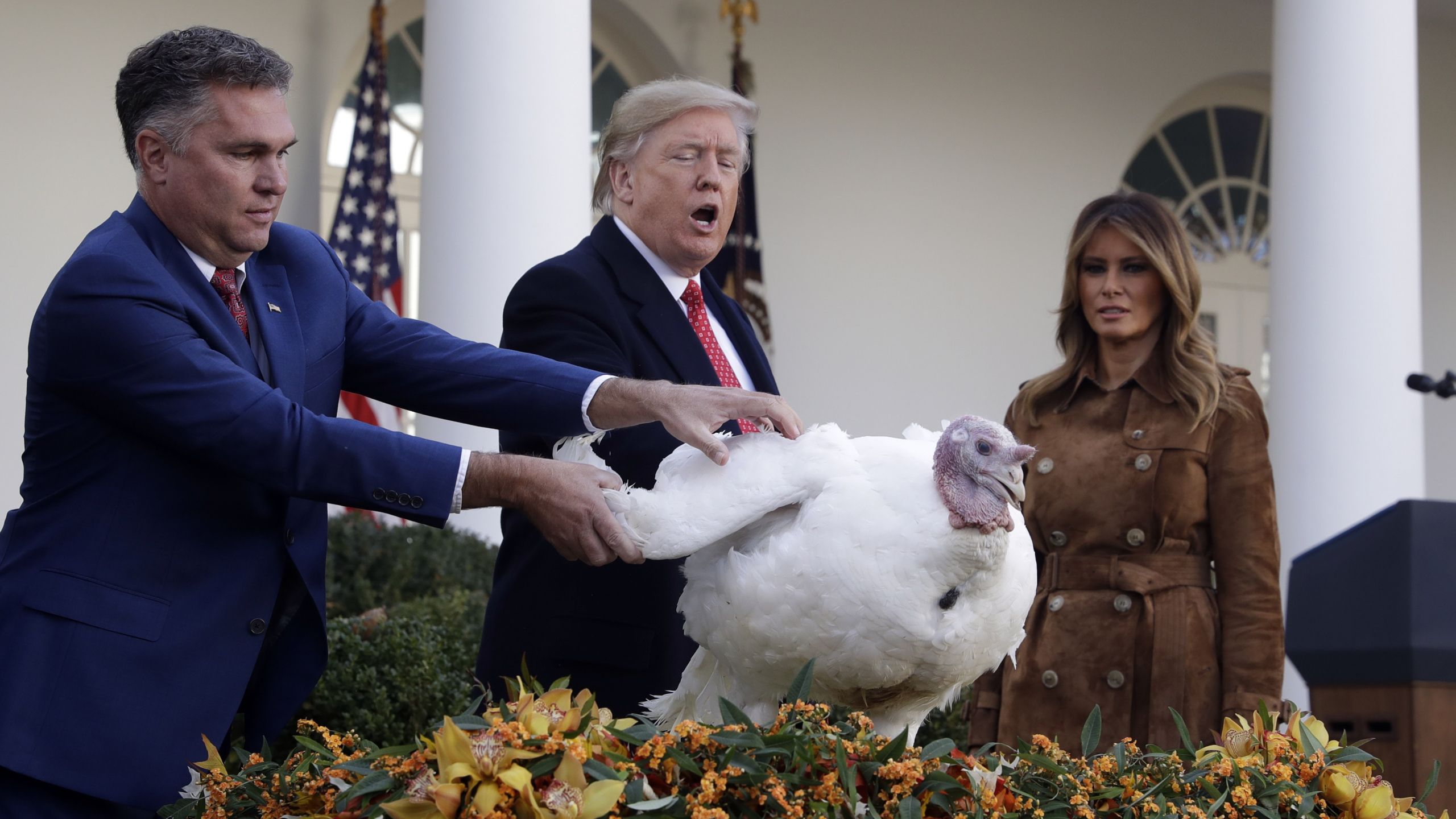 Trump Thanksgiving Turkey
 Trump tells impeachment jokes before pardoning