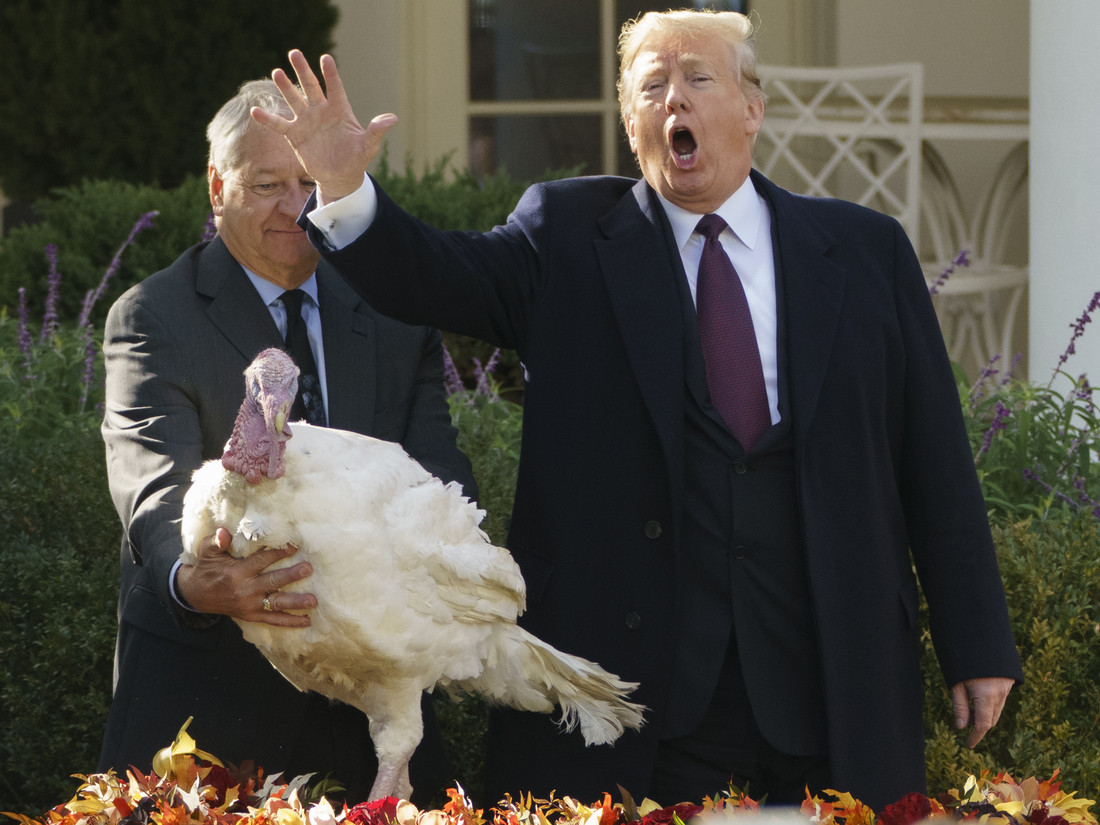 Trump Thanksgiving Turkey
 Trump Pardons Thanksgiving Turkeys NPR