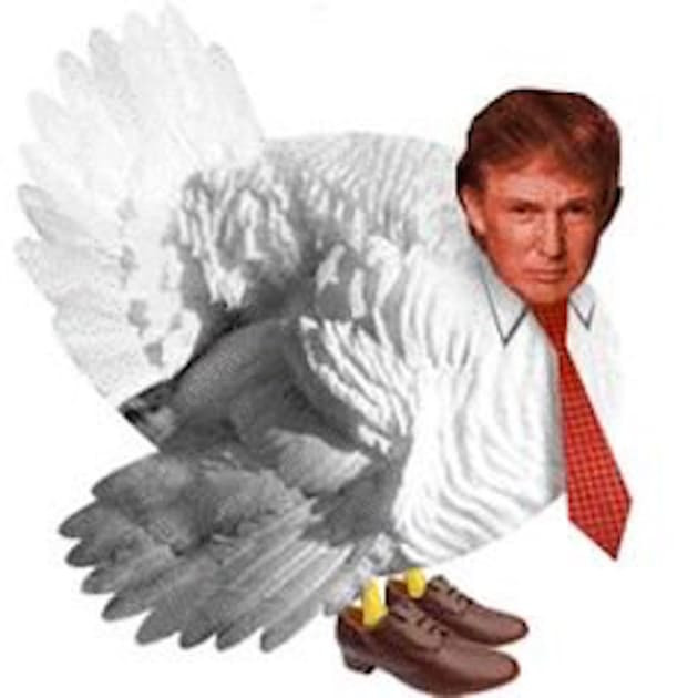 Trump Thanksgiving Turkey
 Donald J Trump the Turkey The Hollywood Gossip