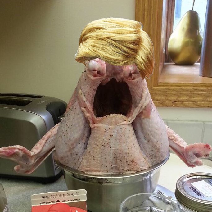 Trump Thanksgiving Turkey
 How to Cook A Trump A Modest Proposal with Recipes