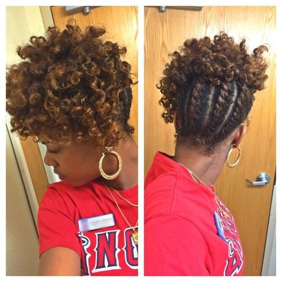 Twisted Updo Hairstyles African American
 10 Chic African American Braids The Hot New Look