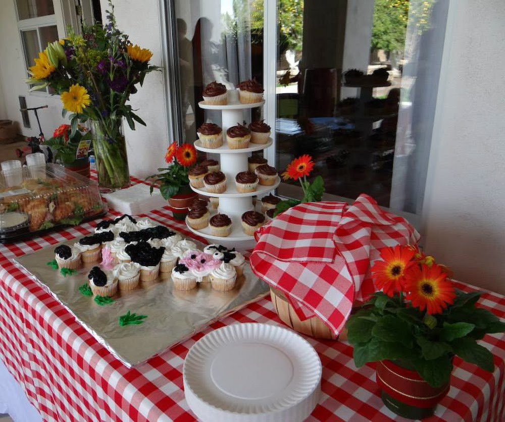 Two Year Old Birthday Party
 Yee Haw A Farm Themed Birthday Party for a 2 Year Old