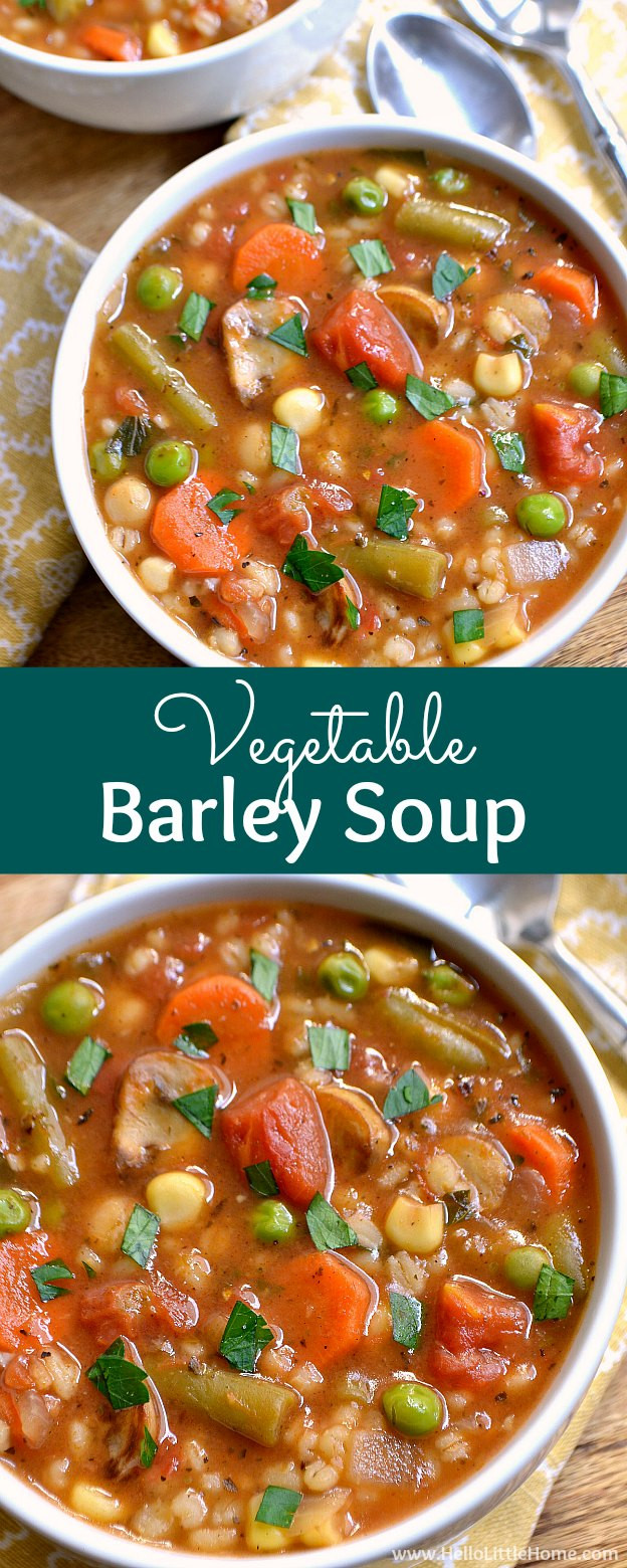 Vegetable Barley Soup
 Ve able Barley Soup