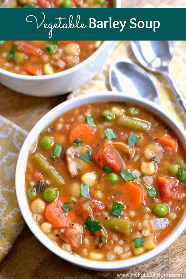 Vegetable Barley Soup
 Ve able Barley Soup