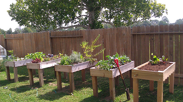 Vegetable Planter Box DIY
 DIY Raised Planter Box Ve able Garden Decoist