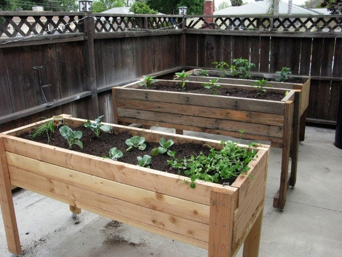 Vegetable Planter Box DIY
 DIY Waist High Planter Box – Your Projects OBN