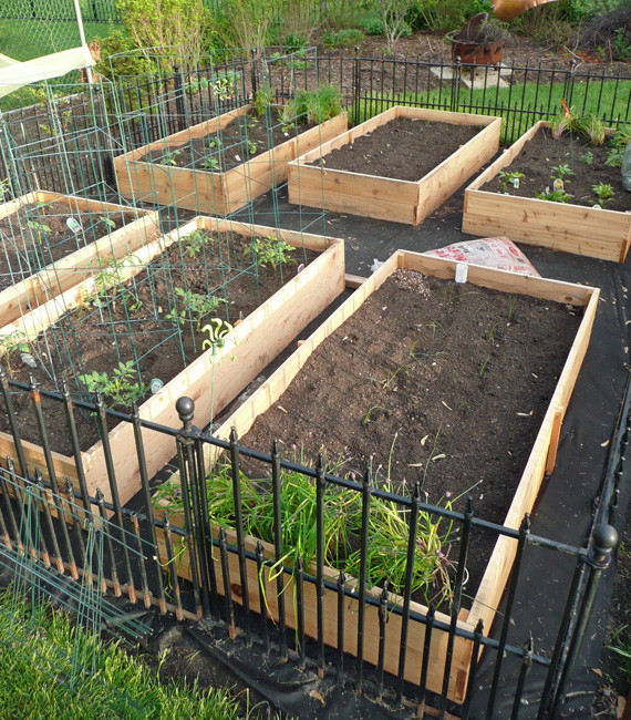 Vegetable Planter Box DIY
 Ve able Garden Box DIY