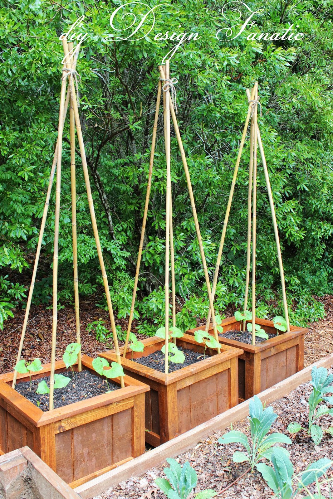 Vegetable Planter Box DIY
 Building A Planter Box For Ve ables