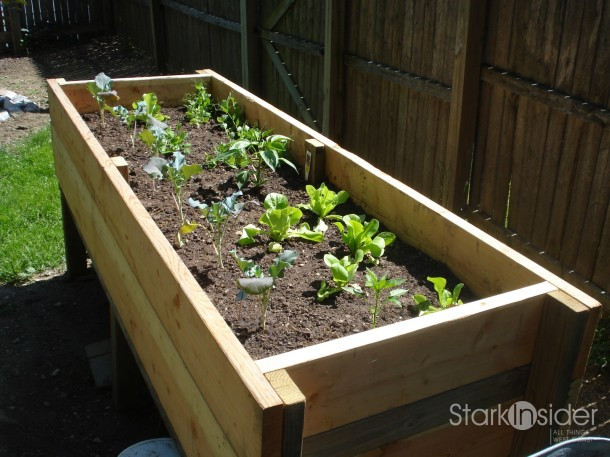 Vegetable Planter Box DIY
 DIY Project Ve able Planter Box plans photos