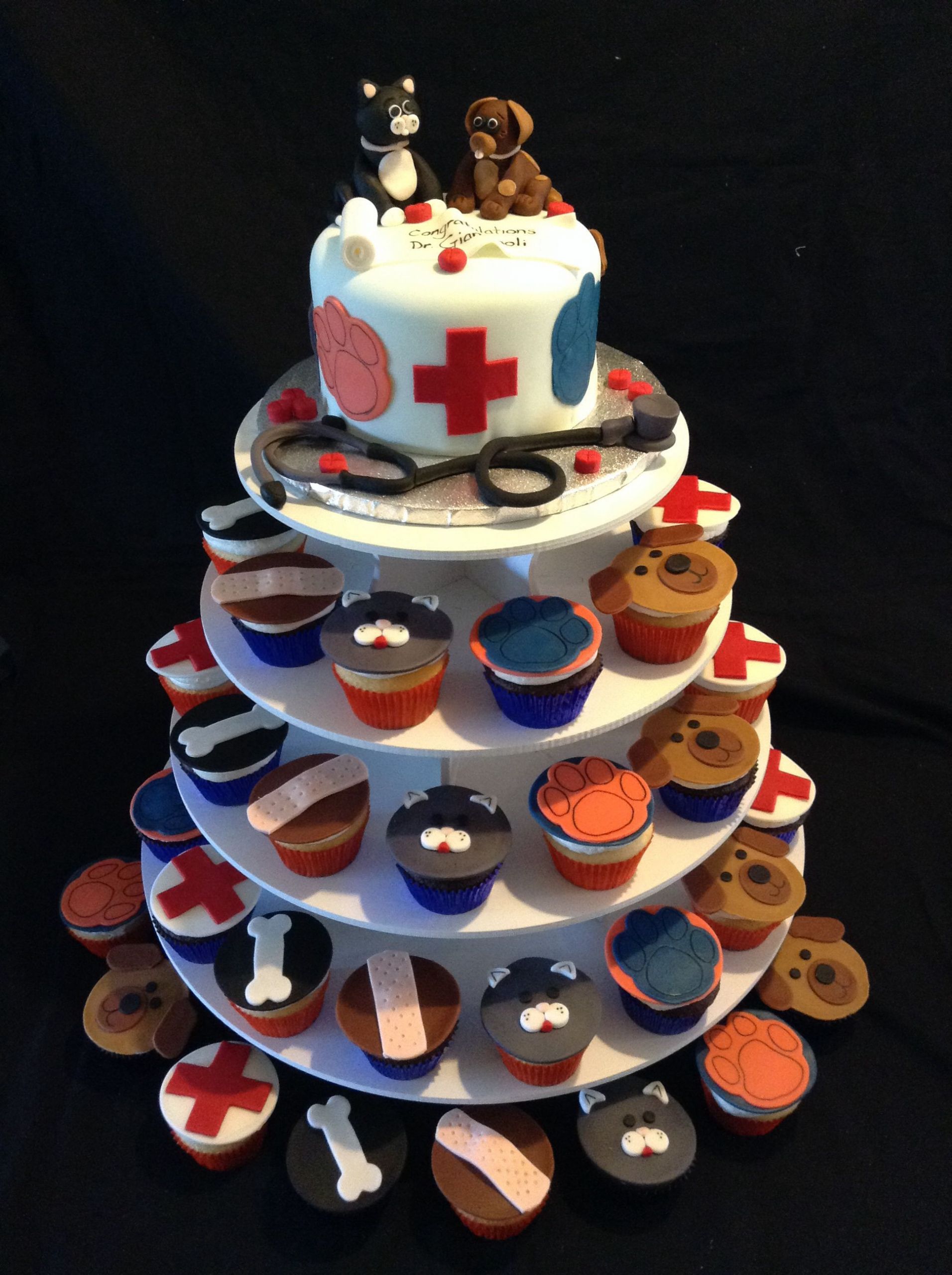 Vet School Graduation Gift Ideas
 Veterinarian Cake With images