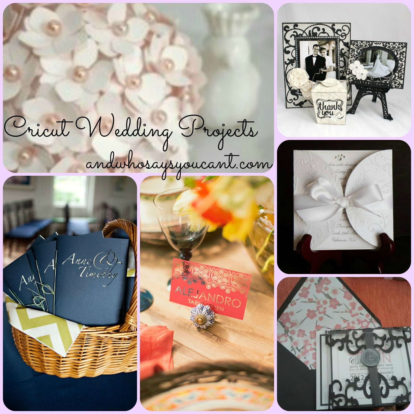 Wedding DIY Projects
 And Who Says You Can t DIY WEDDING PROJECTS WITH YOUR CRICUT