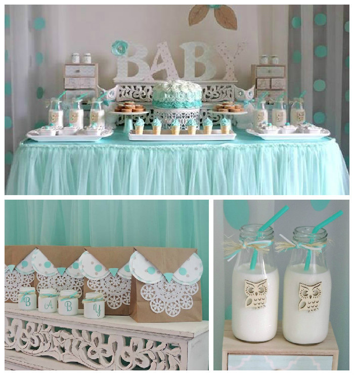 Welcoming Party For Baby
 Kara s Party Ideas Turquoise Owl "Wel e Home Baby" Party