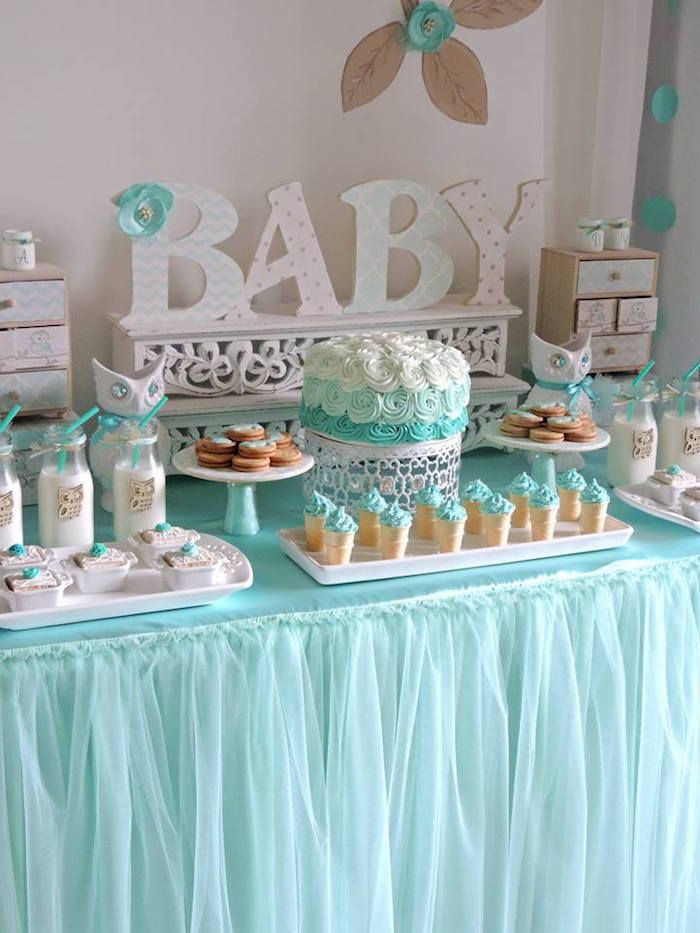 Welcoming Party For Baby
 Turquoise Owl "Wel e Home Baby" Party