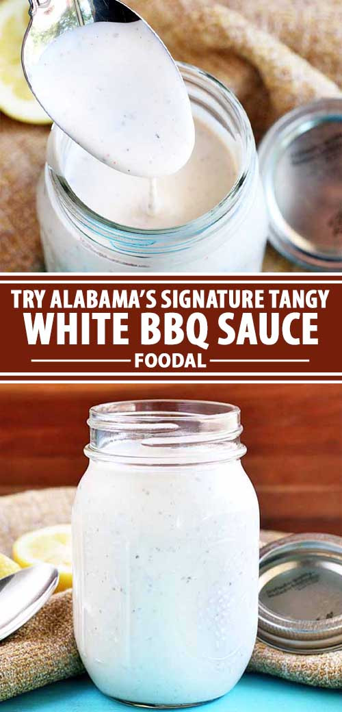 White Bbq Sauce Recipe
 The Best Alabama Style White Barbecue Sauce Recipe