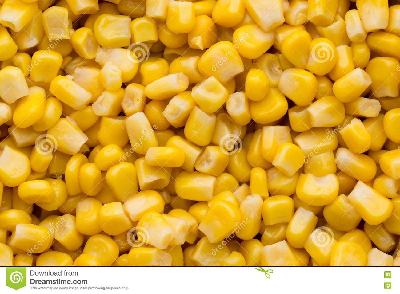 Whole Grain Corn
 Bulk Yellow Corn Grains Texture Stock Image Image of