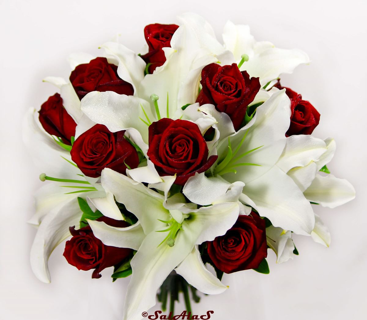 Wholesale Flowers For Weddings
 Brisbane Wholesale Flowers